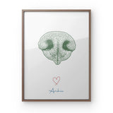 Pet Nose, Framed Poste