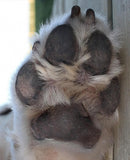 Pet's Paw - Photo board